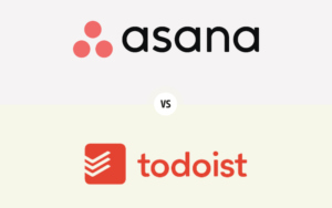 Read more about the article Asana vs Todoist: Which Task Manager Reigns Supreme in 2024?